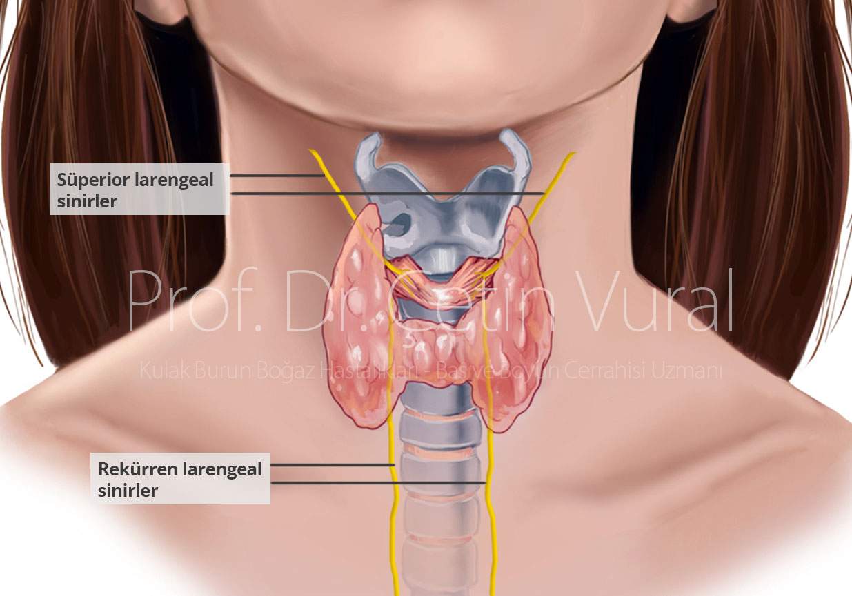 tiroid kanseri tedavisi prof dr cetin vural
